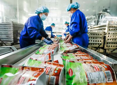 河北遵化 出口栗仁加工忙 特色產(chǎn)業(yè)助食品出口